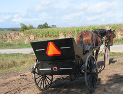 Amish furniture